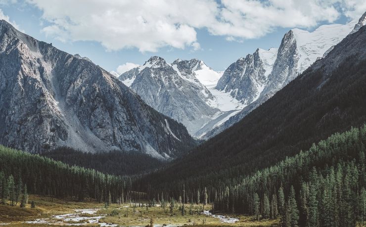 移民阿根廷中介公司